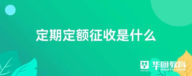 定期定额征收是什么