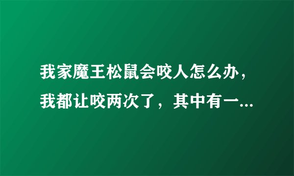 我家魔王松鼠会咬人怎么办，我都让咬两次了，其中有一个大出血，手指头肿了好几天，怎么才能不让他咬人。
