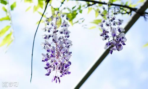 最新疫情防控思政大课观后感个人心得体会5篇