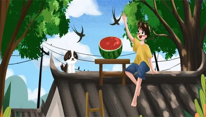 大暑是什么意思  大暑的意思是什么