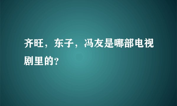齐旺，东子，冯友是哪部电视剧里的？