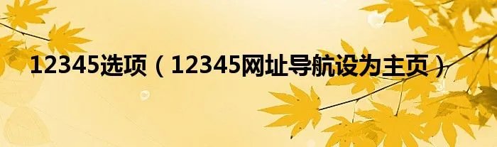 12345选项（12345网址导航设为主页）