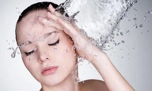 zhao li汉字怎么写