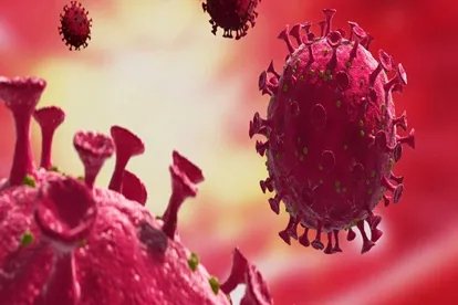 抗原的基本特性有哪些