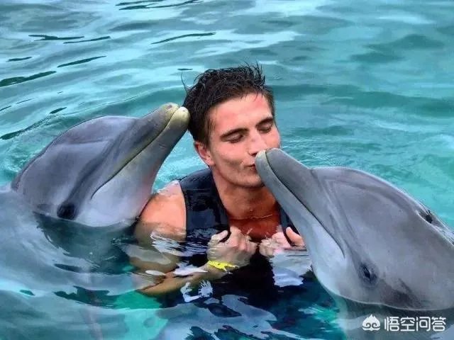 别人家的老师你喜欢哪点？