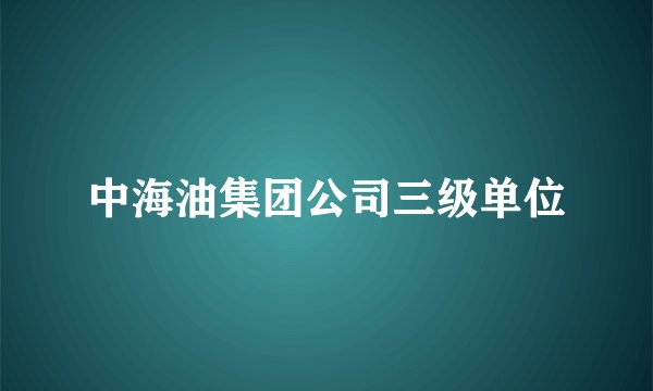 中海油集团公司三级单位