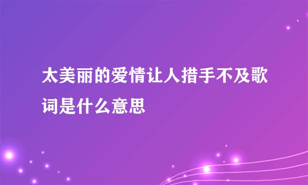 太美丽的爱情让人措手不及歌词是什么意思