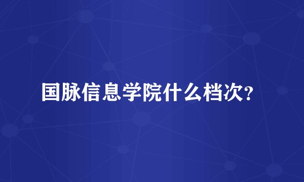 国脉信息学院什么档次？