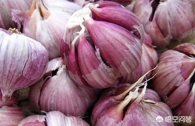 大蒜种植用什么肥料？