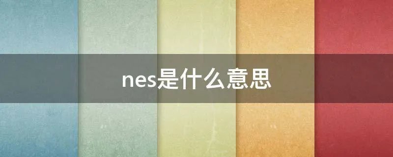 nes是什么意思