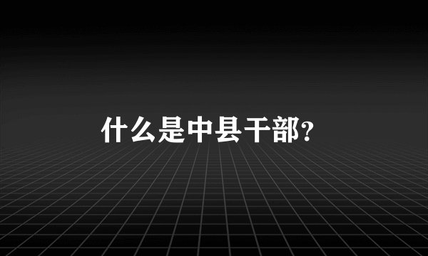 什么是中县干部？