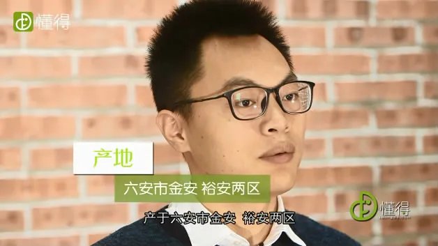 六安瓜片是什么茶