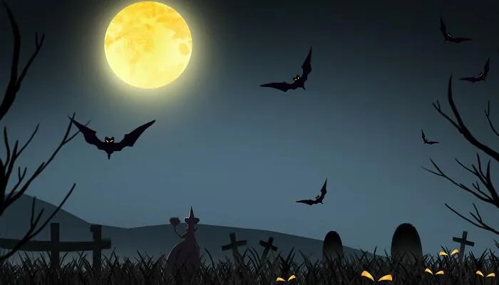 蝙蝠是鸟类吗 蝙蝠属于鸟类吗