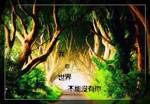 庄静娴萧君赫小说 庄静娴萧君赫免费阅读