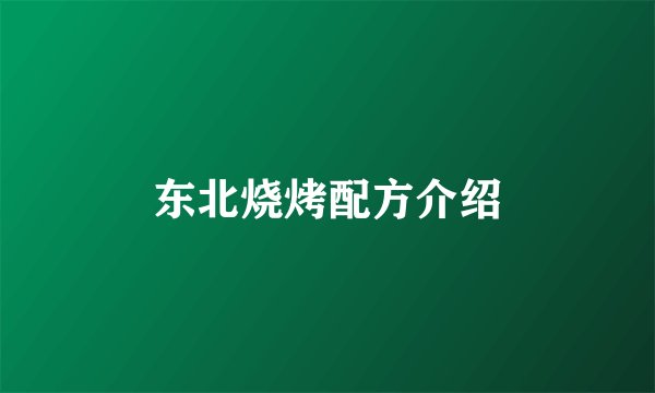 东北烧烤配方介绍