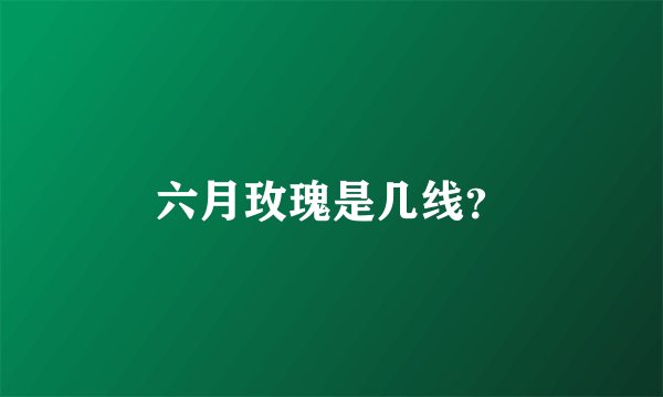 六月玫瑰是几线？