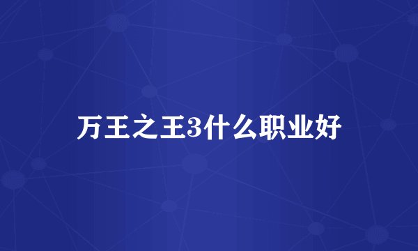 万王之王3什么职业好