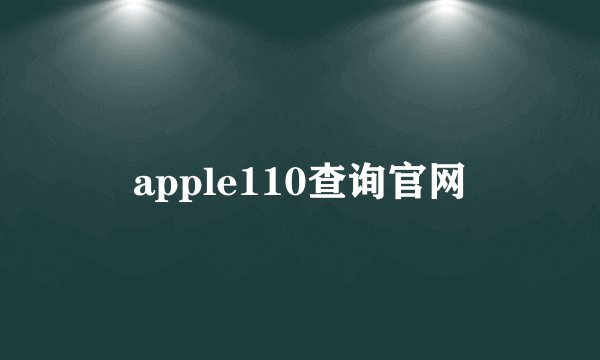 apple110查询官网