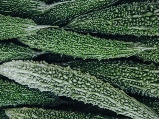 苦瓜的作用是什么