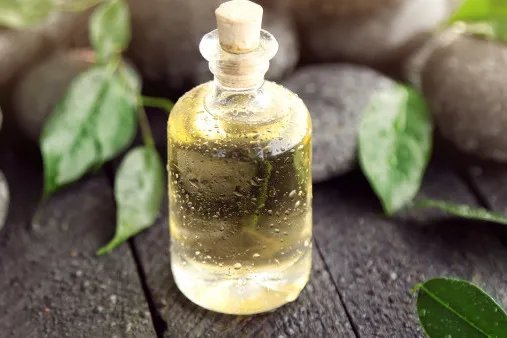 丁香油的功效与作用