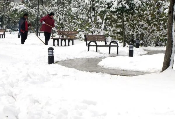 “扫”字的所有读音并分别组词。