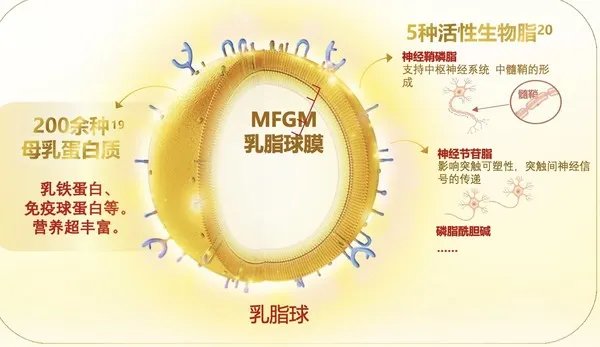 金领冠珍护奶粉怎么样