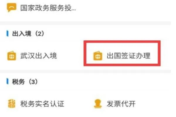 该怎么网上签证