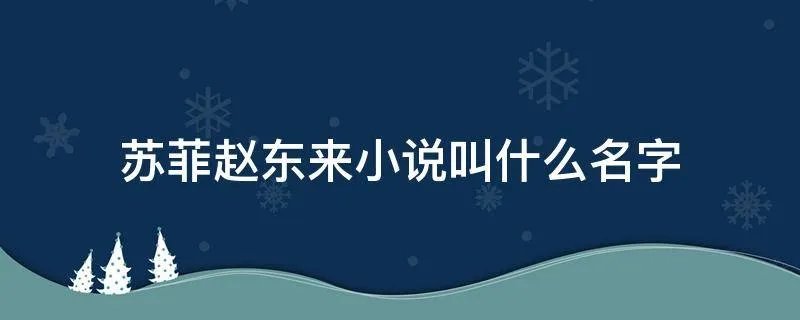 苏菲赵东来小说叫什么名字