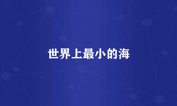世界上最小的海