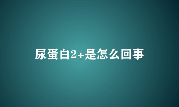 尿蛋白2+是怎么回事