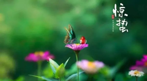 惊蛰是什么意思？