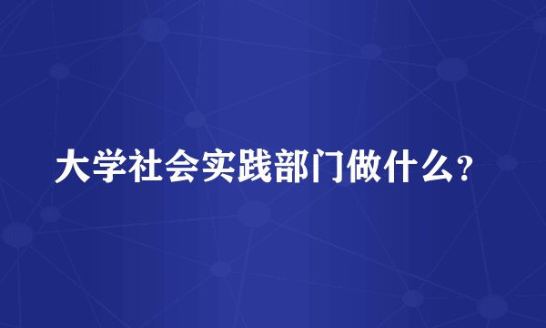 大学社会实践部门做什么？