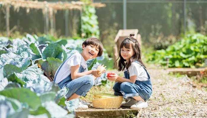 小正太是什么意思 小正太的意思
