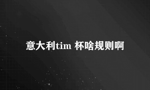 意大利tim 杯啥规则啊