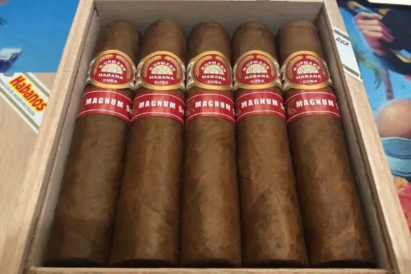 雪茄烟怎么抽？是不是不可以抽进肺里？