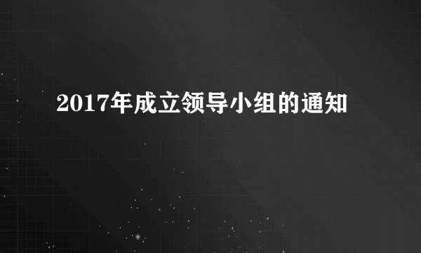 2017年成立领导小组的通知