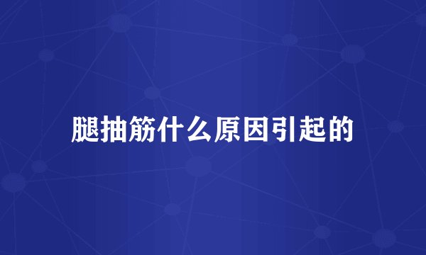 腿抽筋什么原因引起的