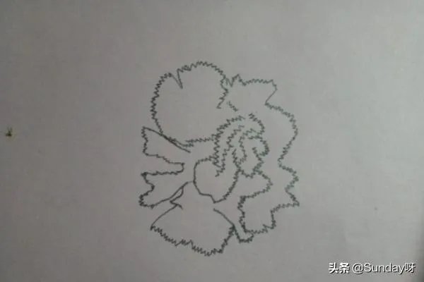 康乃馨怎么画？