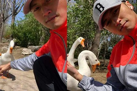 谢霆锋晒与鹅自拍姿势搞笑 和佘诗曼同框被围观