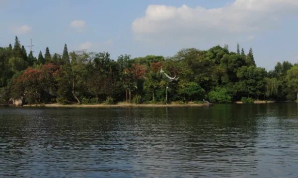 平静的湖面什么，像什么？