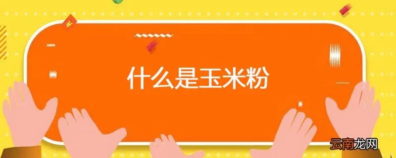 什么是玉米粉 玉米粉是什么