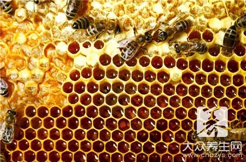 蚂蜂窝有哪些作用功效