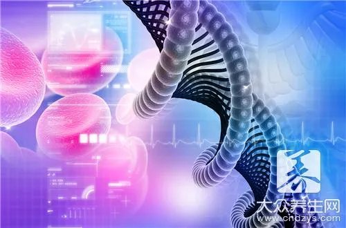 同性恋基因遗传吗？了解权威科学知识！