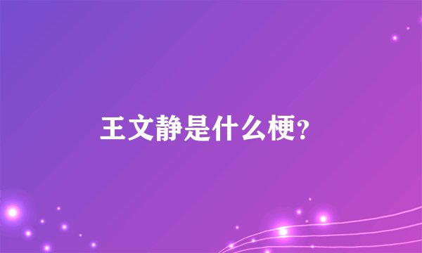 王文静是什么梗？
