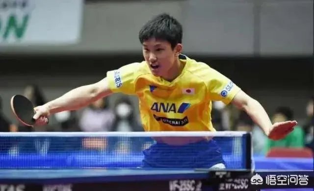 樊振东4:1逆转张本智和晋级2019年亚洲杯男单决赛，如何评价本场比赛双方的表现？