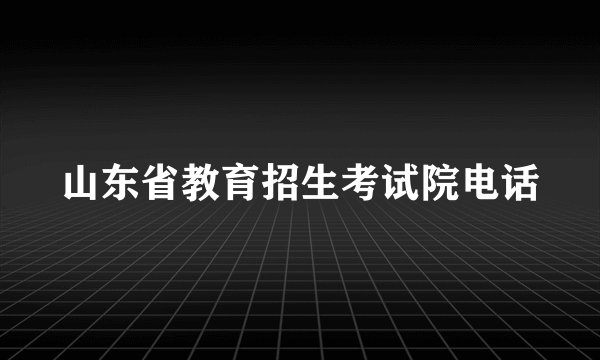 山东省教育招生考试院电话