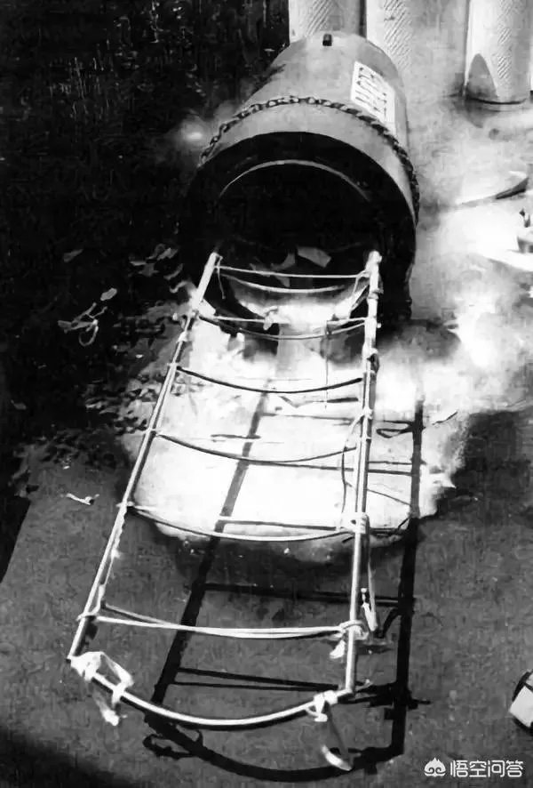 首例冷冻人复活