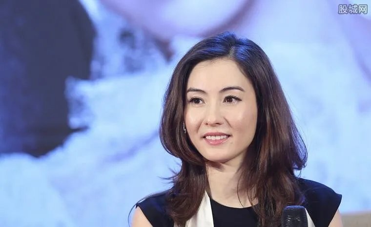 孙东海个人资料 富商孙东海和张柏芝是什么关系？