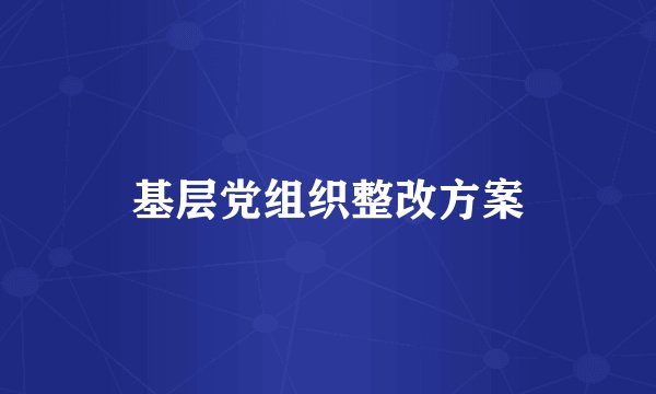 基层党组织整改方案