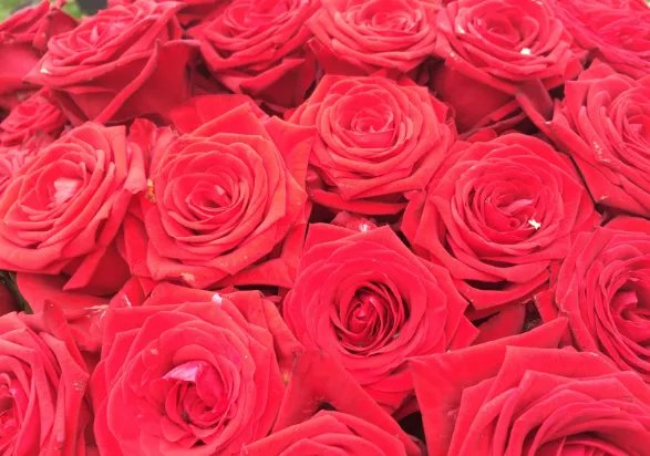 结婚四年是什么婚 结婚纪念日4周年是什么婚